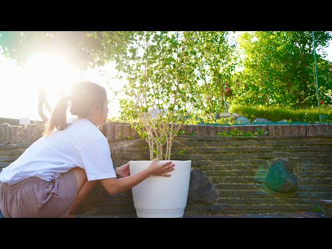 引越しちょっとだけ完了！リフォーム進行中の家で、ゆるっと２拠点生活はじめました