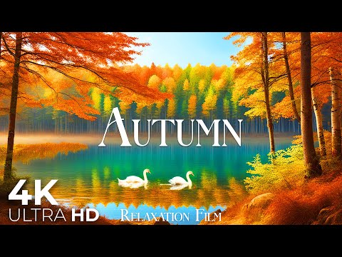 Autumn Forest 4K • Scenic Relaxation Film with Peaceful Relaxing Music and Nature Video Ultra HD