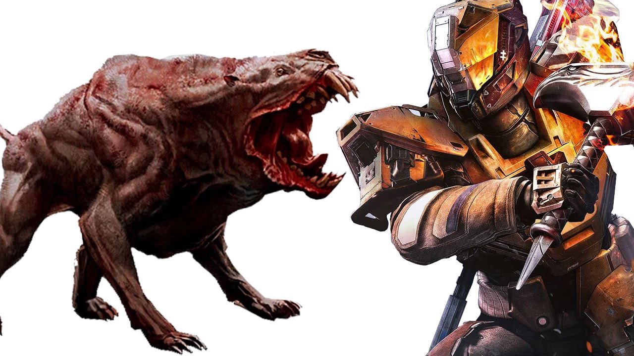 Fallout vr 'mindblowing', destiny 2 leaks, & more