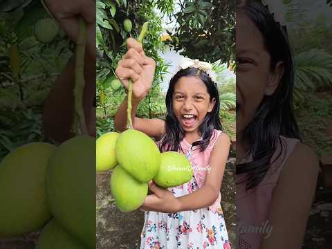 watch till end🥰#shorts #trending #myfamily #lifestyle #youtubers #foryou