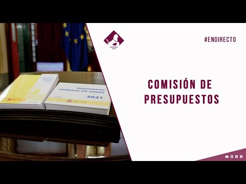 Comisión de Presupuestos. Continuación (05/11/2020)