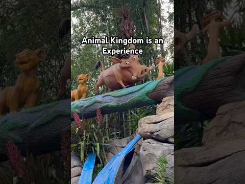 Animal Kingdom is Better than You Think #disney#disneyworld#animalkingdom#lionking#avatar#shorts