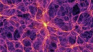 ¿Por qué el Patrón Ramificado en la Naturaleza?