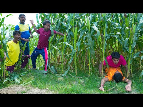 Must Watch New Game Special Comedy Video 2024 😎Totally Amazing Comedy Episode 30 By @dingfun