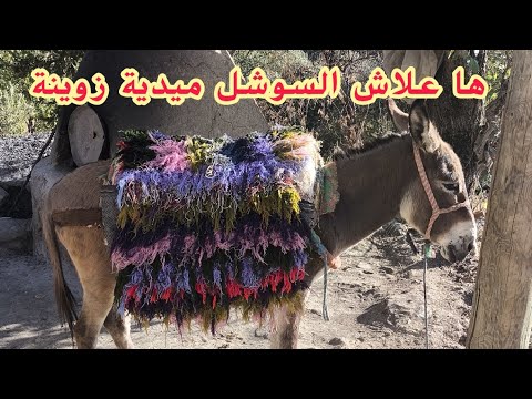 ها علاش السوشل ميدية زوينة
