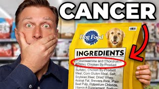 The Worst Dog Food in the World