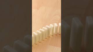 How did the largest bird lose its flight