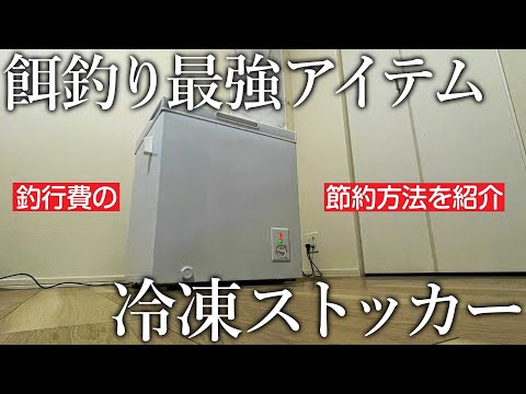 釣り用の小型冷凍庫が便利すぎる！エサ代や釣行費を節約する運用方法を紹介します