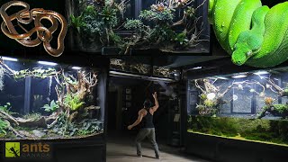 I Added a Snake Into My  Rainforest Vivarium
