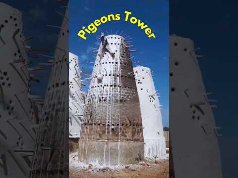 The Pigeon House 😱😱#shorts