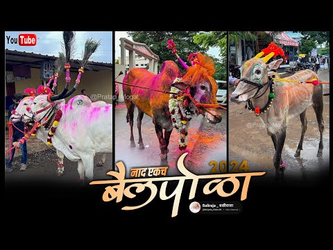 |‎ बैलपोळा सजावट2024 | |बैलांची सजावट2024 | | बळीराजाची लेकरं | |Bail Pola Best Video | HD