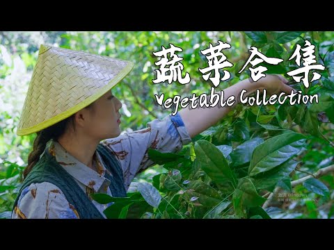 Use the simplest vegetables to create the most flavorful home-cooked dishes【滇西小哥】