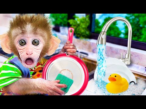 Baby Monkey Bon Bon cleans the kitchen - Animals Maymun video