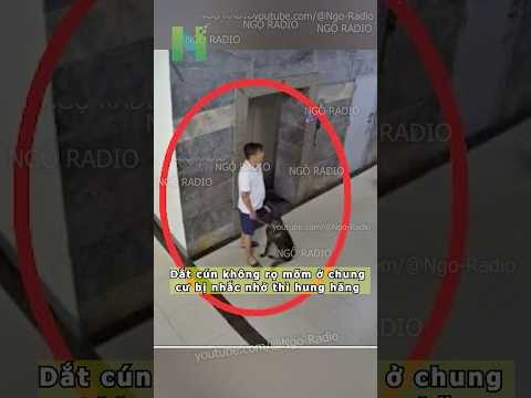Dắt cún không rọ mõm ở chung cư bị nhắc nhở thì hung hăng