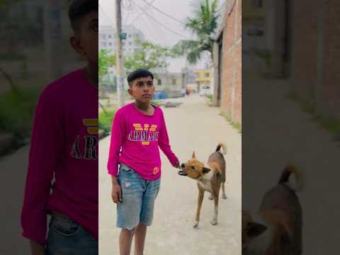 কুত্তার বন্ধুর গায়ে হাত 😬  #shorts #comedy #funnyvideo #opbinodon