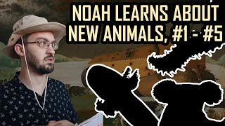 Noah meets new animals while building the ark | 1-5 Compilation