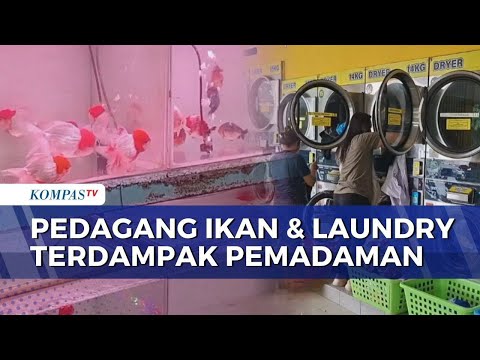 Listrik Padam Bergilir, Penjual Ikan Hias hingga Usaha Laundry Menjerit | BERUT