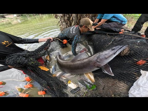 Passamos a rede para pegar os peixe desse lugar!  Peixe raro!