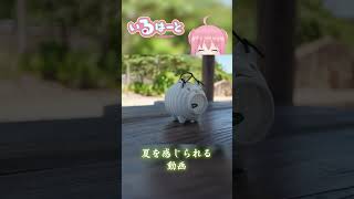 【声マネキング】夏休みスペシャル_夏を感じられる動画 #shorts #vtuber #ゲーム実況 #声マネキング  #いるはーと