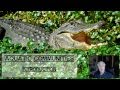 Ecological Concepts and Relationships
