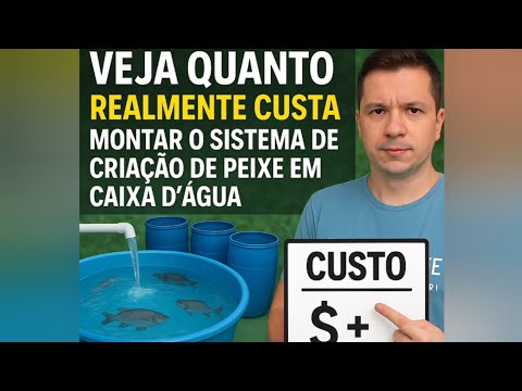 Veja quanto realmente custa montar o sistema de criação de peixe em caixa d'água!