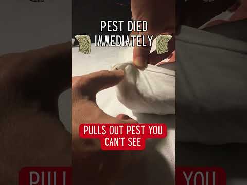 Stops Fleas / Bedbugs / Roaches Naturally - #noharmfulchemicals #nopesticides