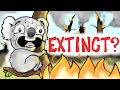 Impact of Australian Bushfires