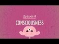 Understanding Consciousness