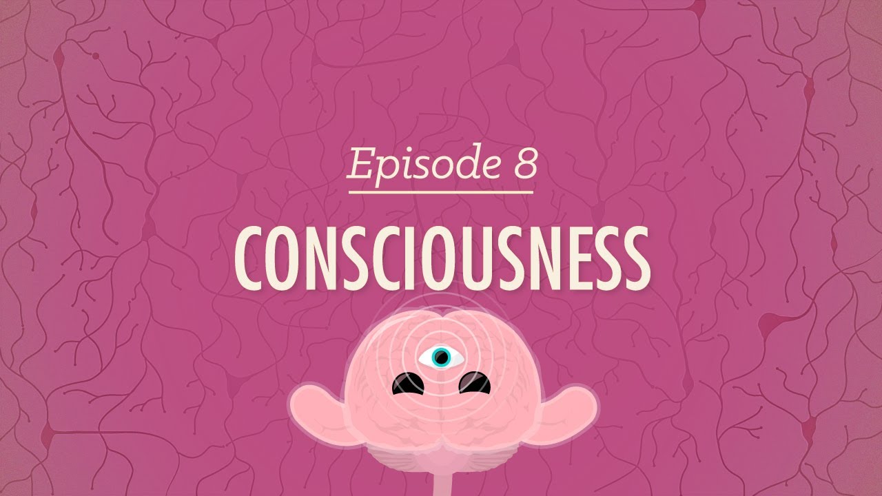 Consciousness: Crash Course Psychology #8