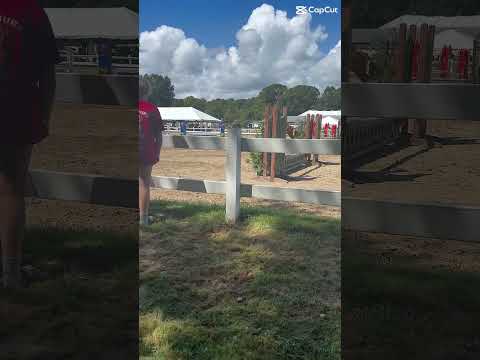 Day 1 Allison and Parker ❤️ #duo #equestrianjourney #equestrianjourney #girlandhergelding #pony