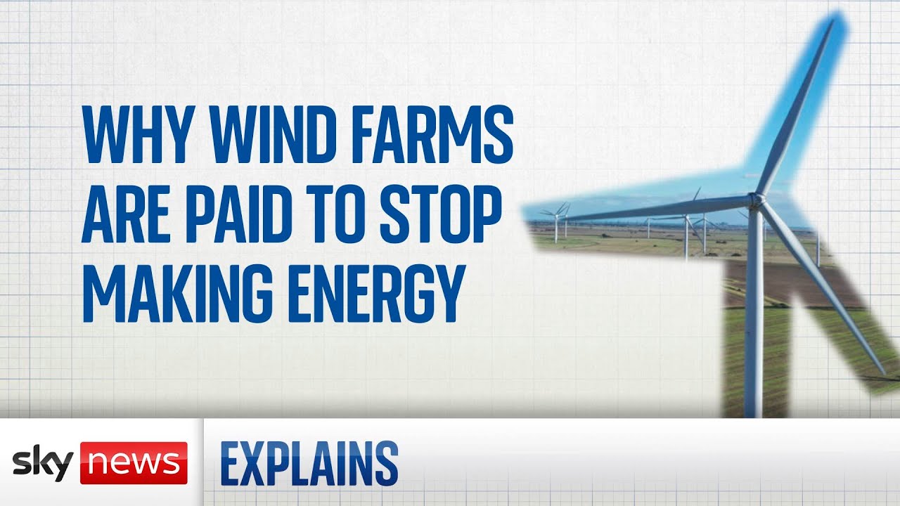 Wind Power: Why some wind farms are being paid to stop producing energy