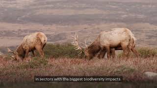 Ceres in Action: Protecting Nature