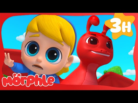 Hypno Mixup 😵‍💫| Fun Animal Cartoons | @MorphleTV  | Learning for Kids