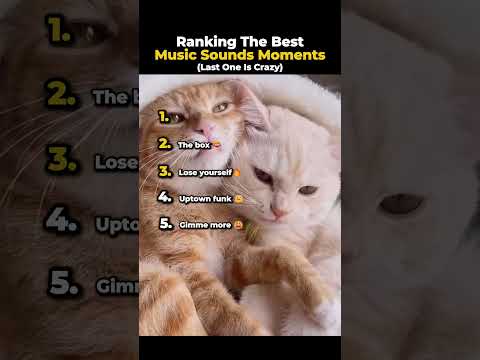 Ranking The Funniest Music Sounds Pt.5