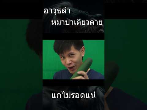 อาวุธล่าหมาป่าเดียวดาย #หมาป่าเดียวดาย #หมาป่าซิกม่า #sigma #หมาป่าsigma