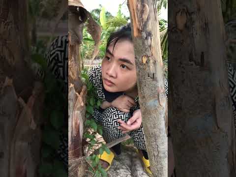 Ngàn Lần Coi Vẫn Phải Gọi Là Cười 😂😂😂