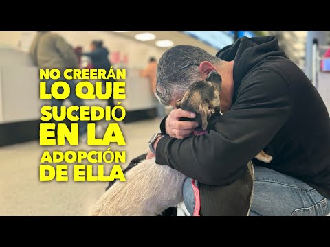 Videos que a nadie le importan por ser tan felices  . No creerán lo que sucedió con Nubesita y Mony