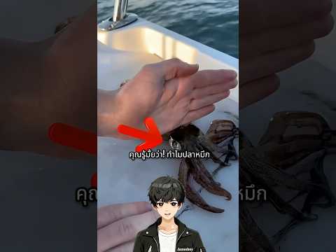 ปลาหมึกโดนตบคาราเต้! เหตุผลโคตรพีค 🦑 😳 #ความรู้ #fyp #ปลาหมึก #เล่าเรื่อง #shorts