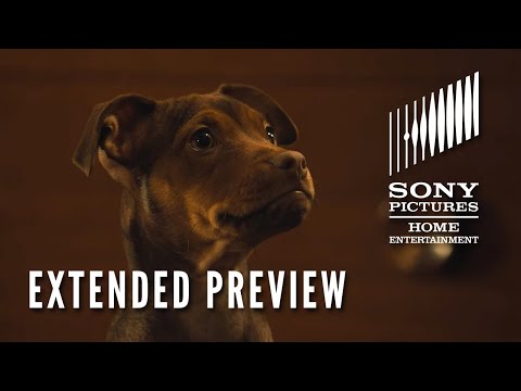 A DOG'S WAY HOME: Extended Preview - Now on Digital! On Blu-ray 4/9