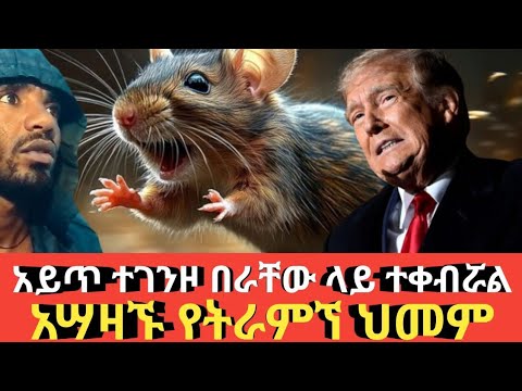 Ethiopia አሳዛኙ የትራምፕ ህመም Agazi tube today