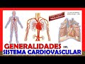 Cardiovascular System Concepts