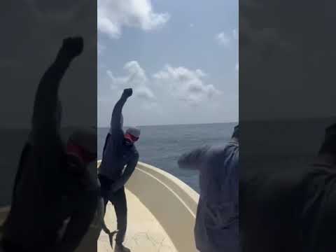 Awesome Frenzy Tuna Fishing with live bait