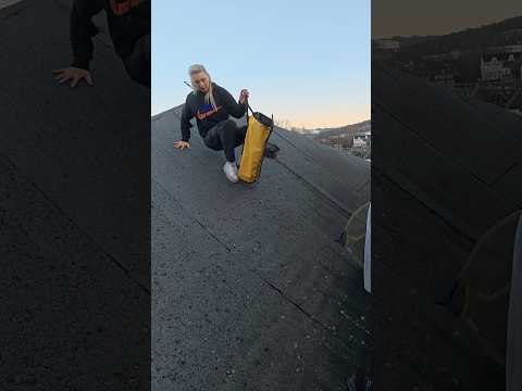 Katze auf dem Dach #animalrescue #tierrettung