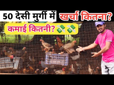 50 desi murgi me kamai kitni 🐓 kharcha kitna ? #chicken