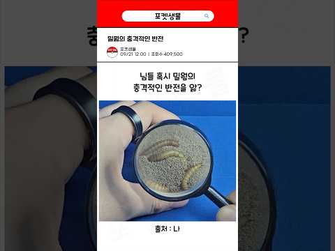 밀웜의 충격적인 반전