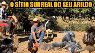 UM ACIDENTE ME FEZ ENXERGAR A VIDA DE OUTRO JEITO - INCRÍVEL SÍTIO DO SEU ARILDO 