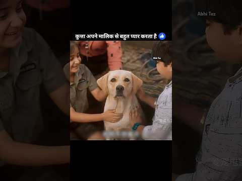 कुत्ता अपने मालिक से बहुत प्यार करता है 🥰 #shorts #dog