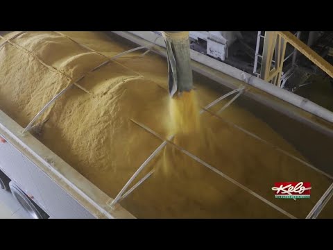 YouTube video thumbnail: Exploring South Dakota's Trade Opportunities