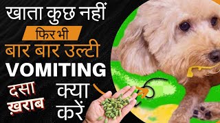 Dog kuch bhi nahi kha raha hai, Dog Vomiting kar raha hai to kya karen, dog vomiting and not eating