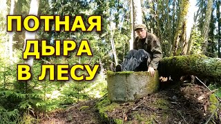 Кто сделал в лесу бункер? Я так и не нашел ответ...